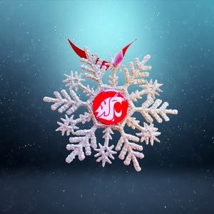 Washington State Univ COUGARS Snowflake Ornament *NEW*